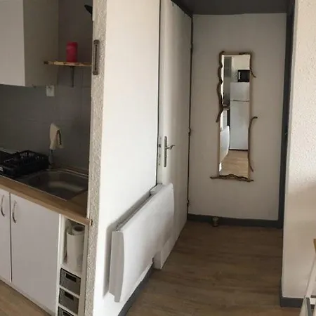 Les Raisins D'Or Appartement 4 Pers 1 Ch Piscine Parking Apartment Agde