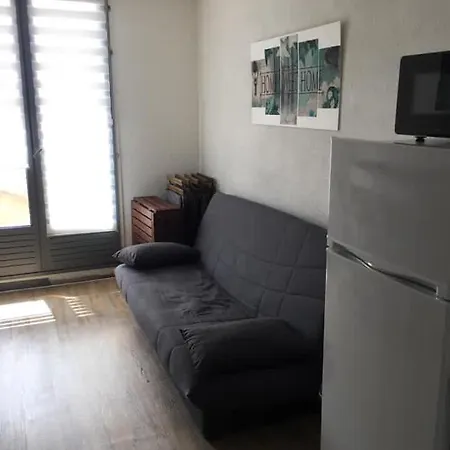 Les Raisins D'Or Appartement 4 Pers 1 Ch Piscine Parking *